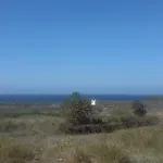 Casa Mina *